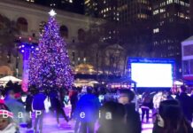 動画で巡るニューヨークのクリスマスツリー