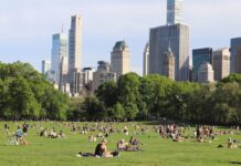 セントラルパークの上手な歩き方・見所ルートマップ付き 2024